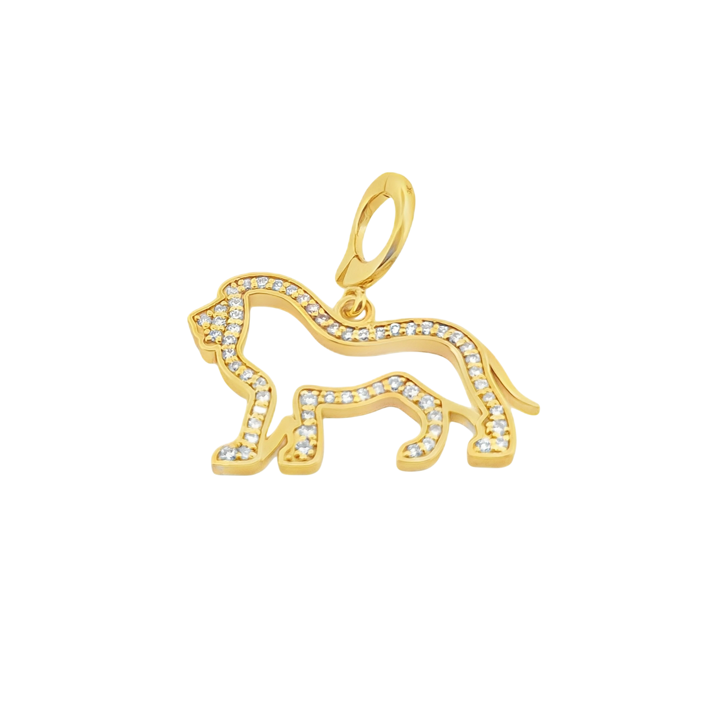 RaSifiwa Safari Lion